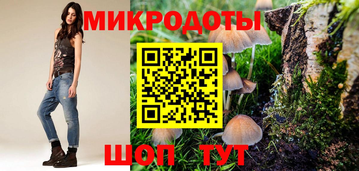 Домодедово  Псилоцибиновые грибы Psilocybe  Вход с VPN 